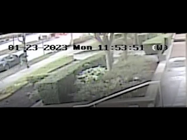 Pedestrian pushed to ground, arm broke. Burnaby RCMP seek witnesses - B ...